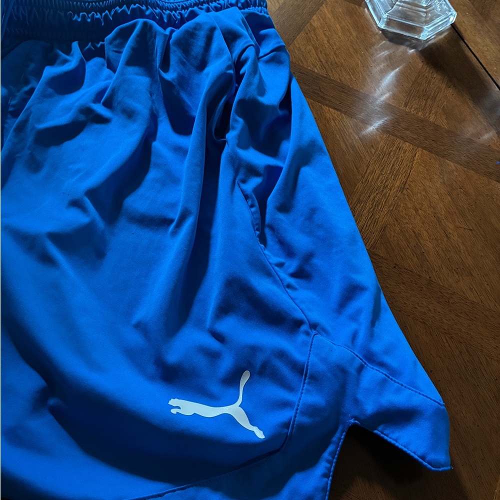 Puma Men's Vibrant Blue Sports Shorts